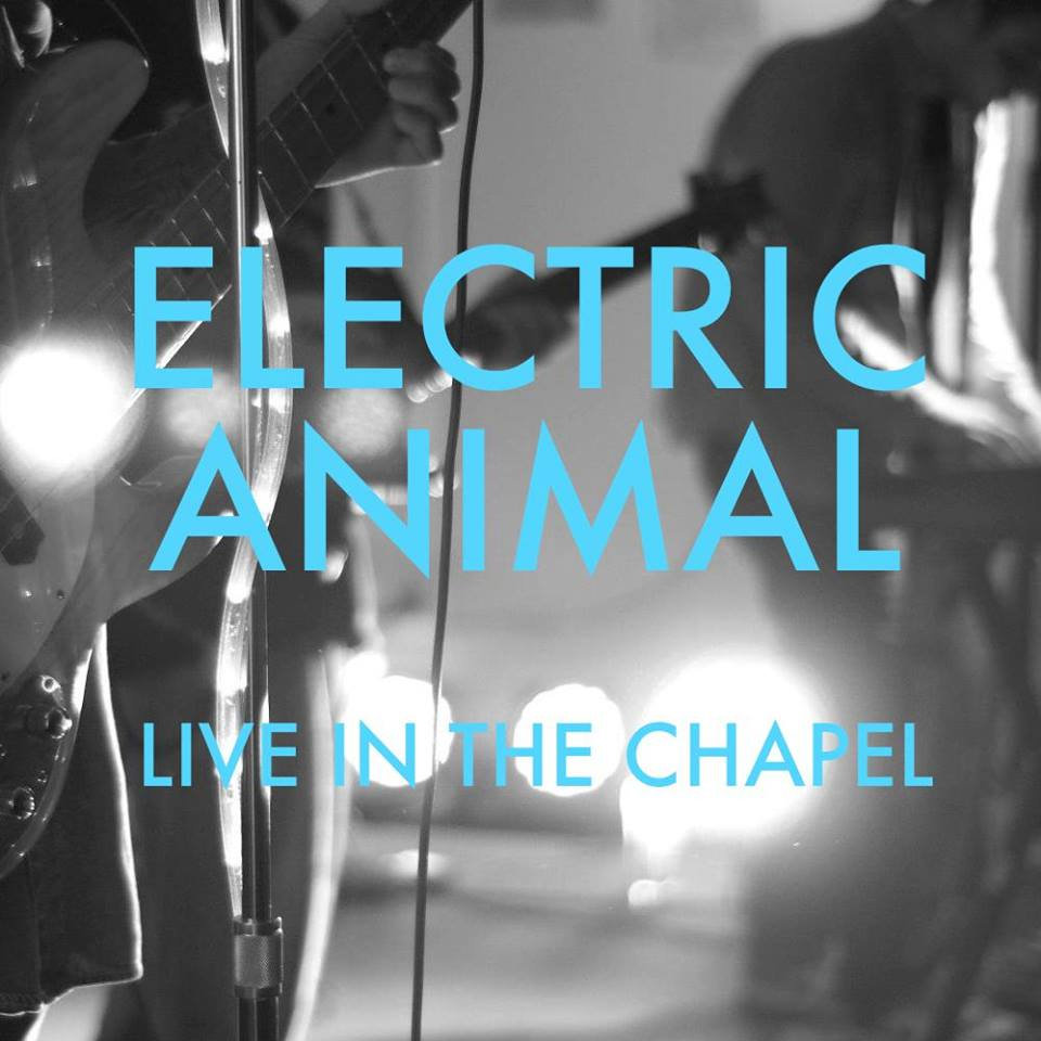 Electric Animal