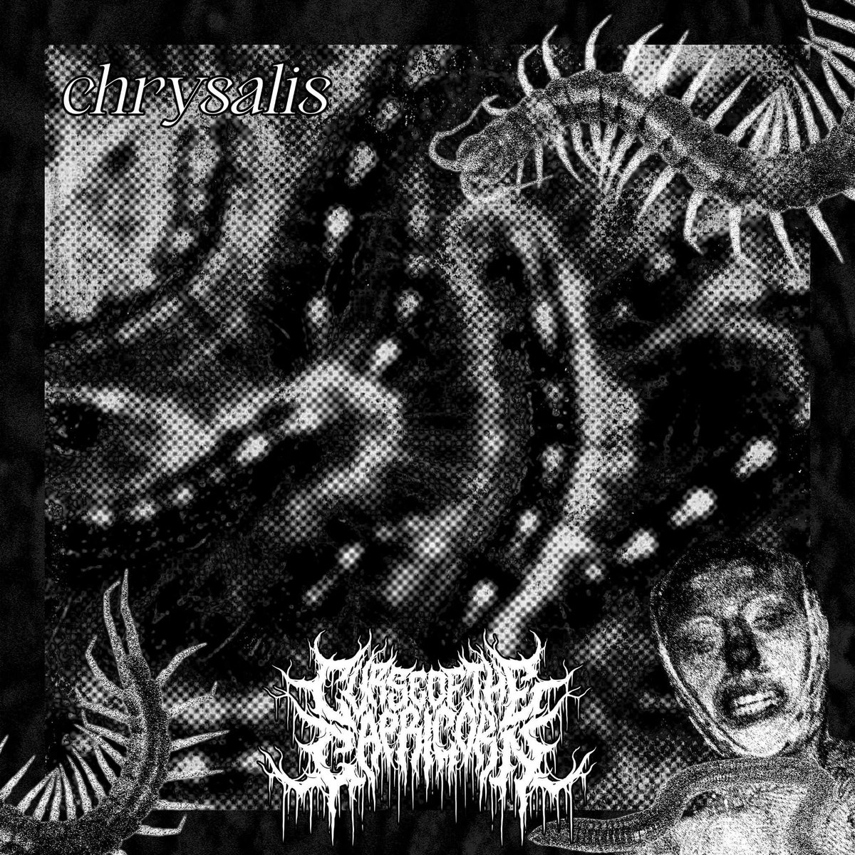 Curse of the Capricorn