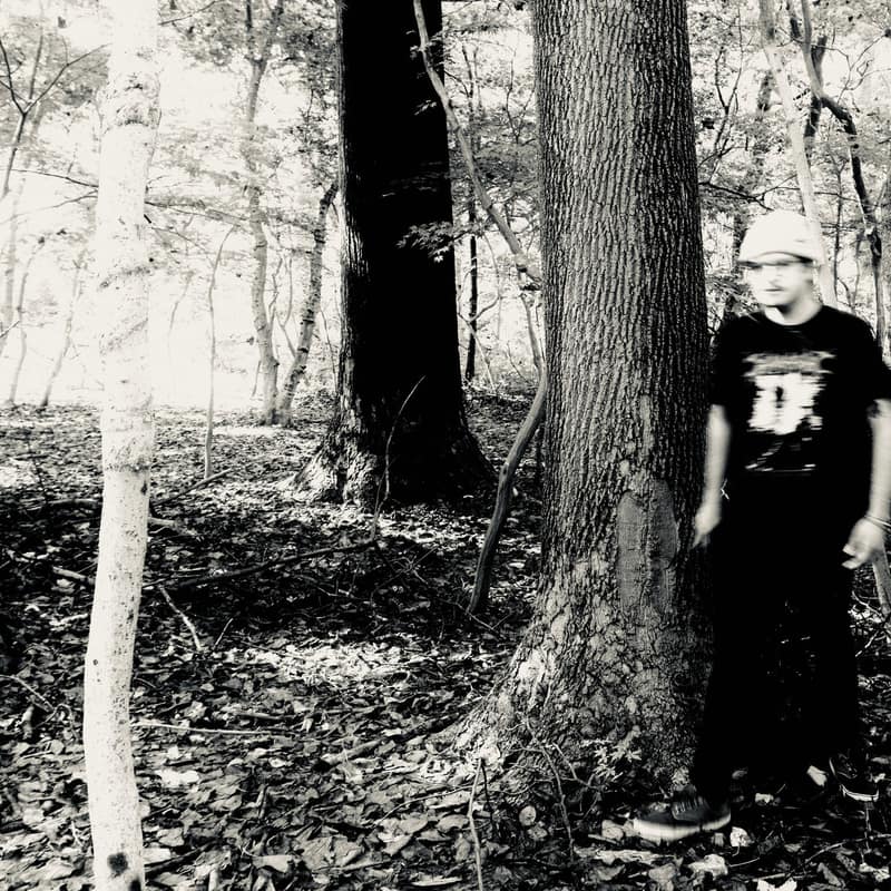 A Mutilated Mind