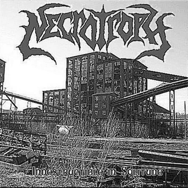 Necrotroph