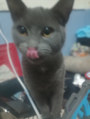 My one -only