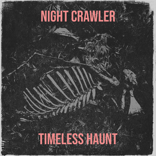 Night Crawler