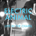 Electric Animal Live at the Basement Benefit