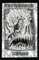 Lithotome / Moros split