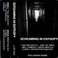 Screaming in Entropy