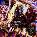 Septic Orbit