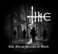 The Forest Dreams of Black