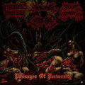 Passages Of Perversity