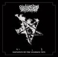 Anointed by the Crimson Veil