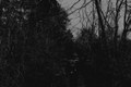 Come Back/Wanderlust
