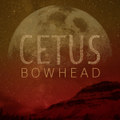 Bowhead