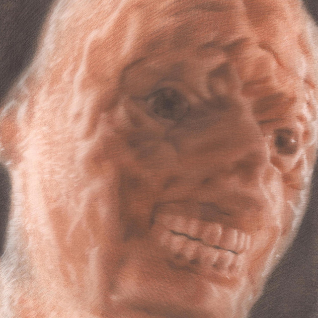 Stubborn Beast Flesh
