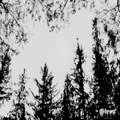 Rotten Earth (EP)