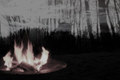 Like a Snow White Morning Burning (Preliminary Demos)
