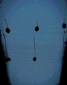 12.Across The Ways Of Humans, Only Lye The Lies Of There Reality