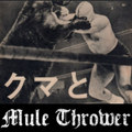 Knuckle Curve Blues