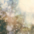 Recurrence