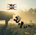 Live @ Das Rind 2010